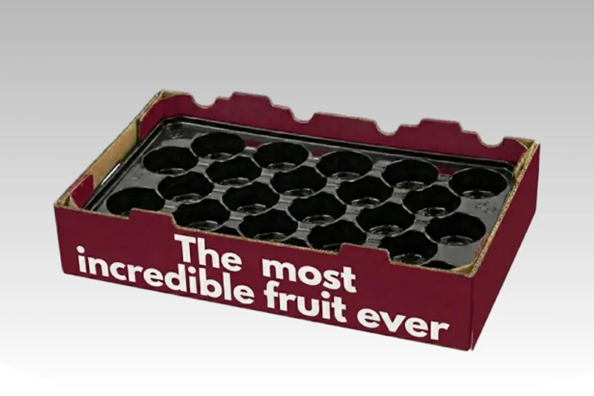 Classical PET Fruit Tray