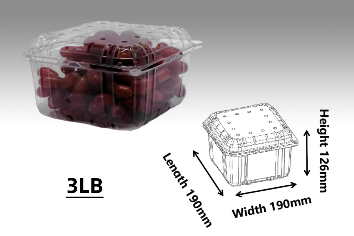 PET Container for Grape (3LB-Style A)