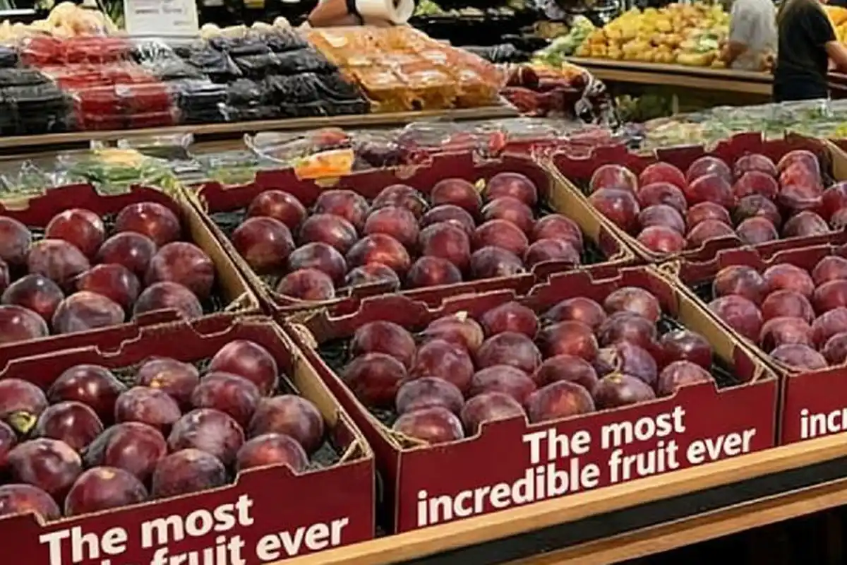 PET Fruit Tray with Plums