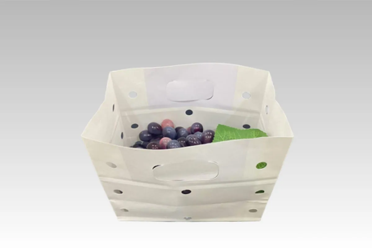 Punched Handle Paper Bag for Grape