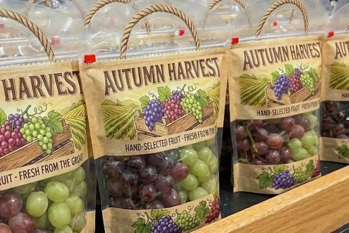 Square Shape Bag with Grape in Shelf